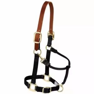 Premium Horse Bridles