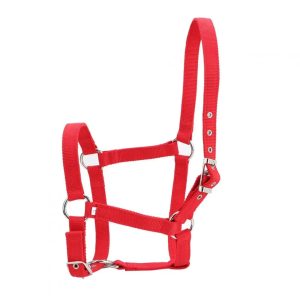 Horse Head Collar Halter
