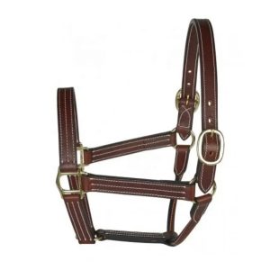 Electroplated Horse Headcollar