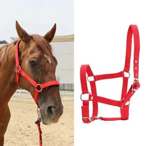 Horse Head Collar Halter