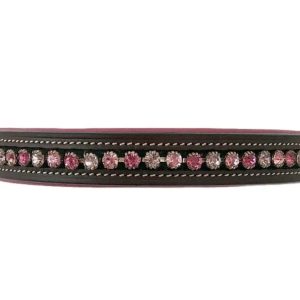 Shining Crystal Browband